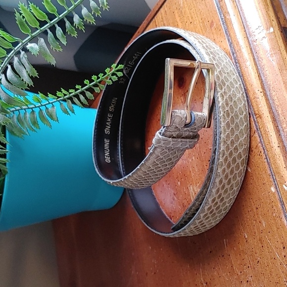 Women's Genuine Snake Skin belt - Picture 1 of 5